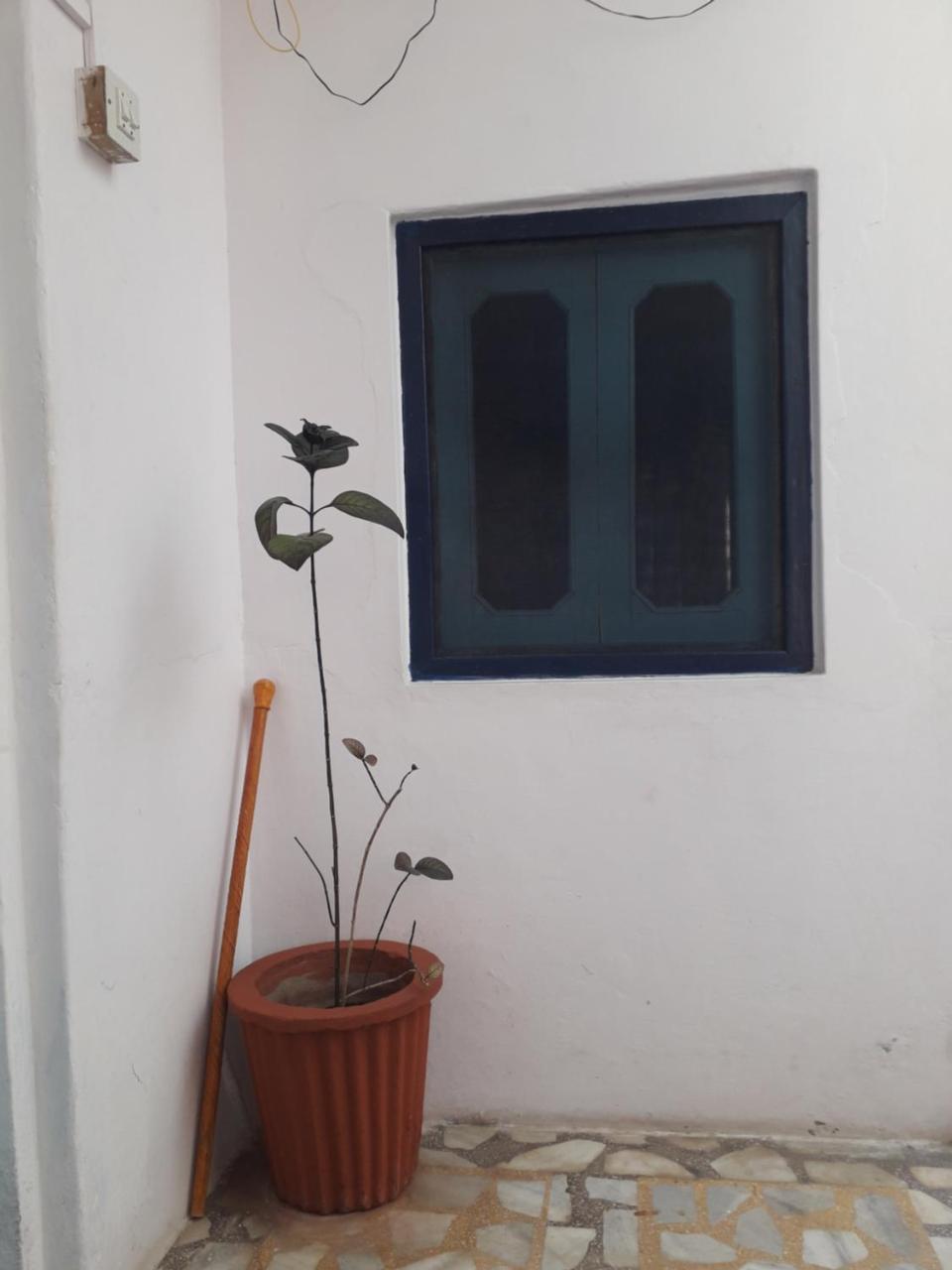 Rajguru Guest House Pushkar Exterior foto